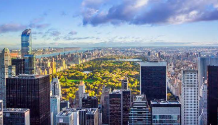 New York in compagnia